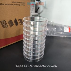 Hình ảnh thực tế Đĩa Petri nhựa 90mm dễ dàng xếp chồng, thao tác an toàn