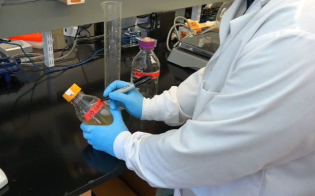 Cách đổ đĩa Petri không bị nhiễm tạp. Dán nhãn và chuẩn bị hấp tiệt trùng chai LB Agar